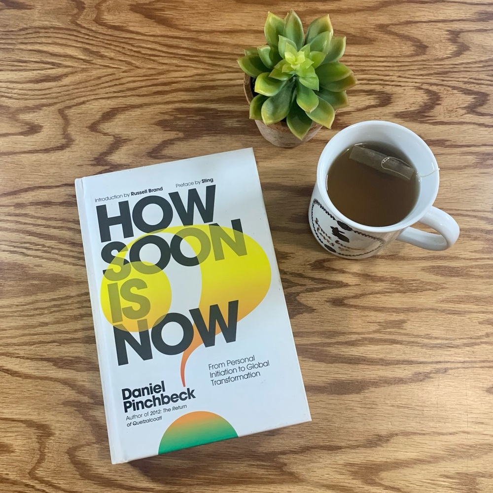 5/$10 📚 SIGNED COPY How Soon Is Now by Daniel Pinchbeck | Hardcover book